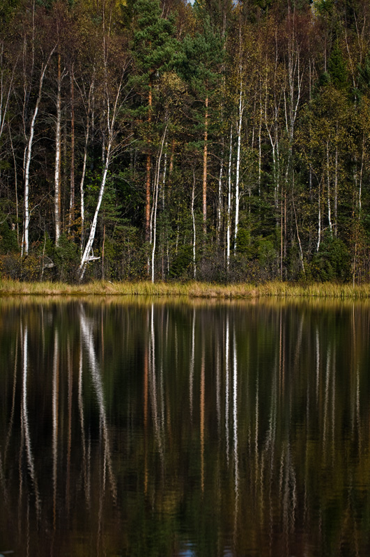 Syksyinen heijastus small.jpg - Syksyinen heijastus